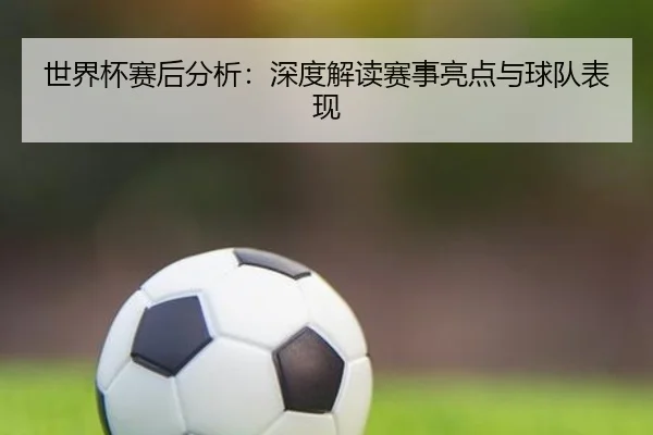世界杯赛后分析：深度解读赛事亮点与球队表现