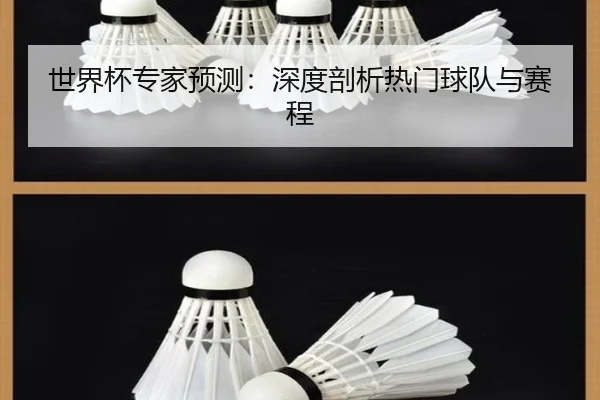 世界杯专家预测：深度剖析热门球队与赛程